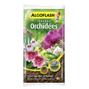 TERREAU ORCHIDEES ALGOFLASH