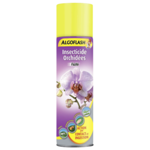 INSECTICIDE ORCHIDEES AEROSOL - ALGOFLASH