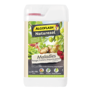 MALADIES POTAGER, FRUITIERS, CLOQUE DU PECHER - NATURASOL