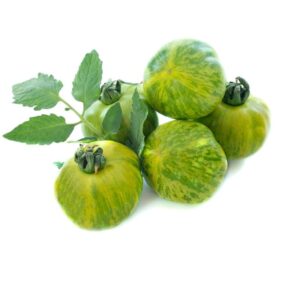 tomate-green-zebra