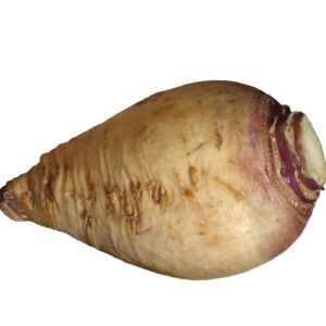 Rutabaga