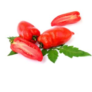 Tomate des Andes