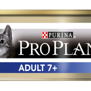 MOUSSE CHAT ADULT THON