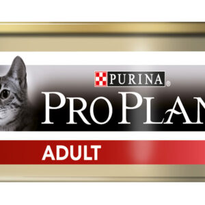 MOUSSE CHAT ADULTE AU POULET